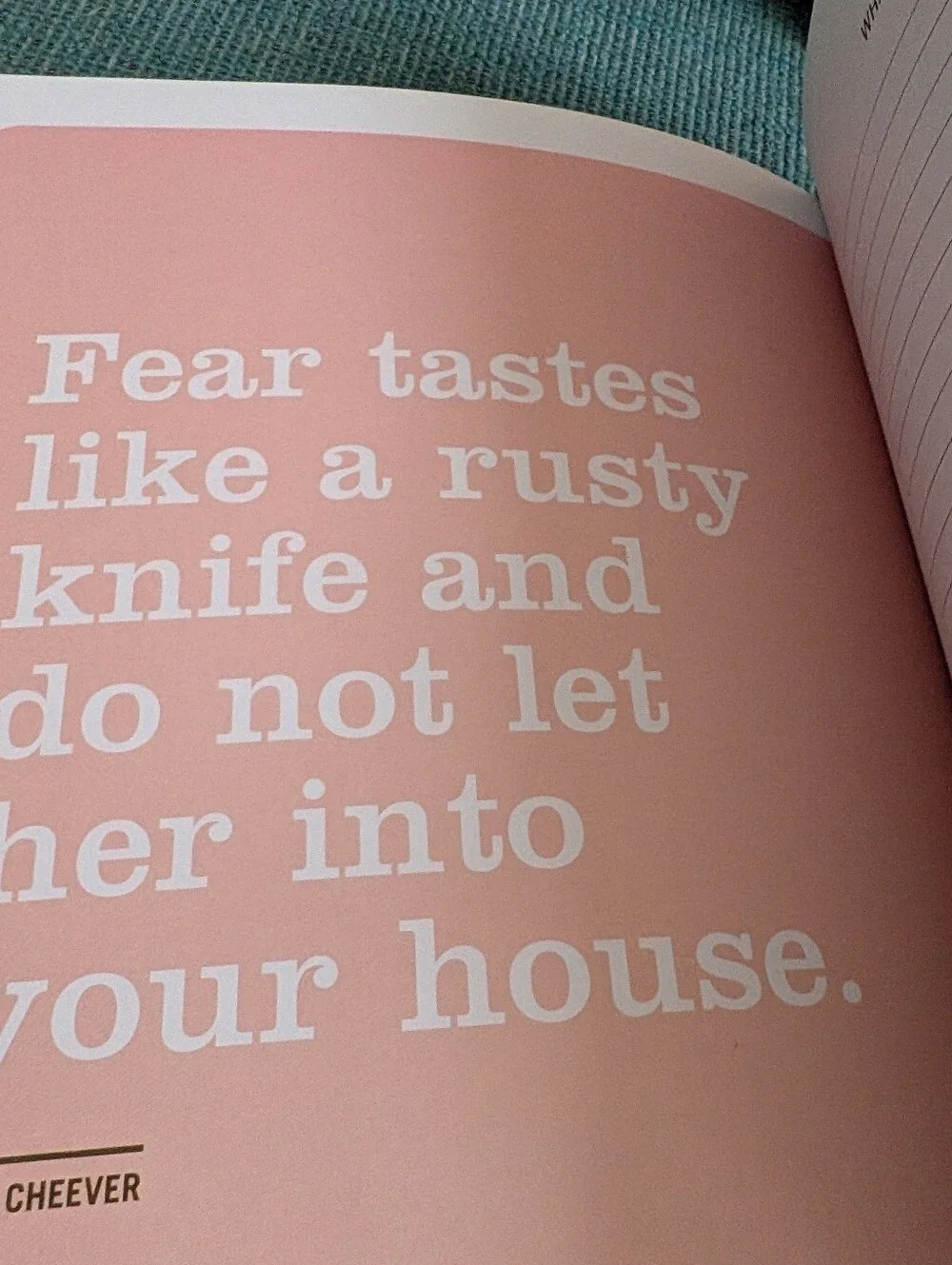 Funny Relatable Inner Truth Journal Choose Your Title Novelty Notebook Gift